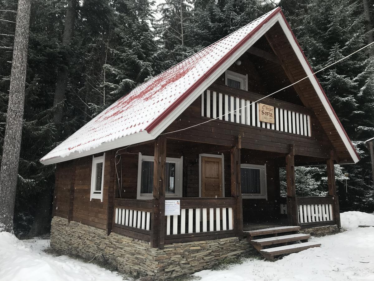Chalet Sofia Боровец Екстер'єр фото
